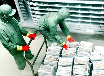 A shrimp processing plant in Ca Mau Province (Photo: SGGP)